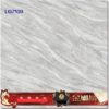 Pločice Diamond glazed porcelain tile 800x800 LG7109