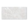 Pločice Ceramic tile 300x600 P36060