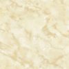 Pro. Full Glazed porcelain tile 600x600 GB6008