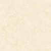 Pločice Full glazed porcelain tile 800x800 GH8016