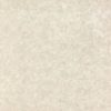 Pločice White tulip Polished porcelain tiles 800x800 CF8001