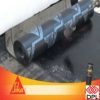 SikaBituSeal T-240 PF (1mx10m   4mm) ROLNA